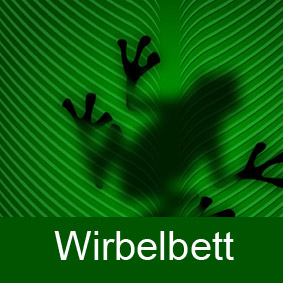 Wertec Chemnitz – Wartung von Kleinkläranlagen Biomat Wirbelschwebebett